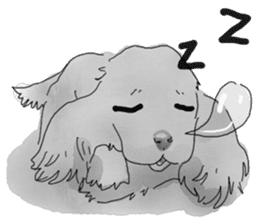 iPaint Black cocker sticker #13329421