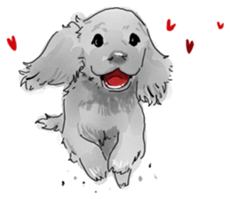 iPaint Black cocker sticker #13329427