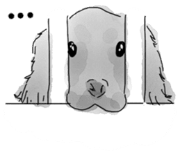 iPaint Black cocker sticker #13329428