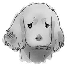 iPaint Black cocker sticker #13329429