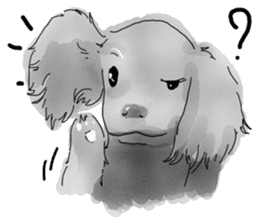 iPaint Black cocker sticker #13329430