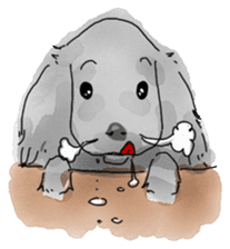 iPaint Black cocker sticker #13329431