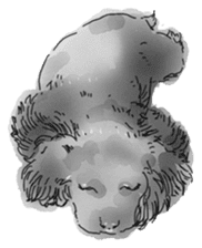 iPaint Black cocker sticker #13329436