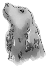 iPaint Black cocker sticker #13329438