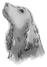 iPaint Black cocker sticker #13329438