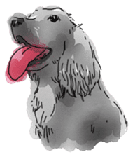 iPaint Black cocker sticker #13329440