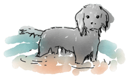 iPaint Black cocker sticker #13329441