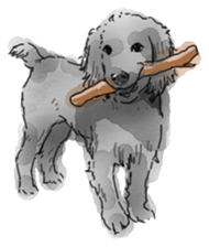 iPaint Black cocker sticker #13329443