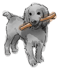 iPaint Black cocker sticker #13329443