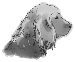 iPaint Black cocker sticker #13329444