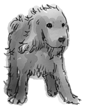 iPaint Black cocker sticker #13329445