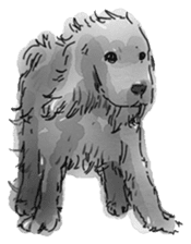 iPaint Black cocker sticker #13329445