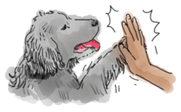 iPaint Black cocker sticker #13329448