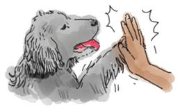 iPaint Black cocker sticker #13329448