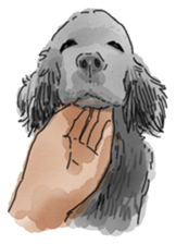 iPaint Black cocker sticker #13329452