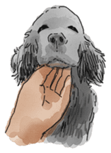 iPaint Black cocker sticker #13329452