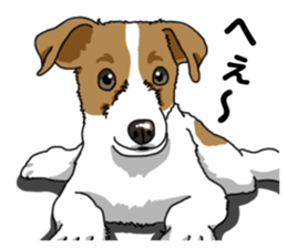 Daily JRT( Jack Russell terrier) sticker #13330654
