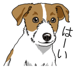 Daily JRT( Jack Russell terrier) sticker #13330655