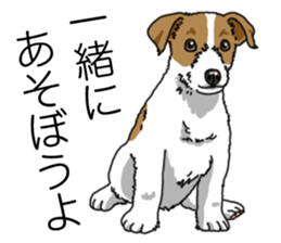 Daily JRT( Jack Russell terrier) sticker #13330656