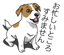 Daily JRT( Jack Russell terrier) sticker #13330657
