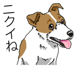 Daily JRT( Jack Russell terrier) sticker #13330660