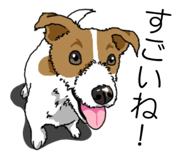 Daily JRT( Jack Russell terrier) sticker #13330662