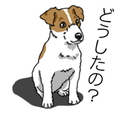 Daily JRT( Jack Russell terrier) sticker #13330663