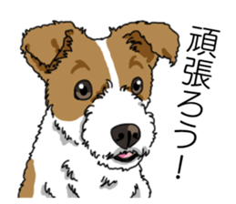 Daily JRT( Jack Russell terrier) sticker #13330664