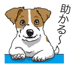Daily JRT( Jack Russell terrier) sticker #13330667