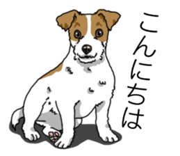 Daily JRT( Jack Russell terrier) sticker #13330668