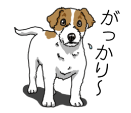 Daily JRT( Jack Russell terrier) sticker #13330669