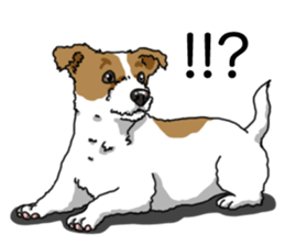 Daily JRT( Jack Russell terrier) sticker #13330671