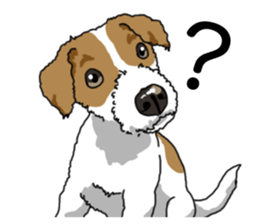 Daily JRT( Jack Russell terrier) sticker #13330672