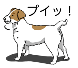 Daily JRT( Jack Russell terrier) sticker #13330673
