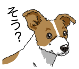 Daily JRT( Jack Russell terrier) sticker #13330674