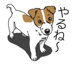 Daily JRT( Jack Russell terrier) sticker #13330676