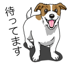 Daily JRT( Jack Russell terrier) sticker #13330680