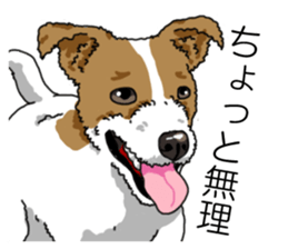 Daily JRT( Jack Russell terrier) sticker #13330681