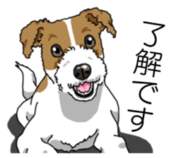 Daily JRT( Jack Russell terrier) sticker #13330682