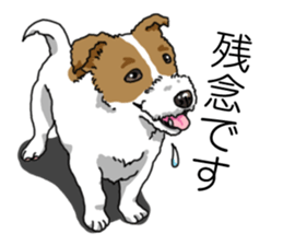 Daily JRT( Jack Russell terrier) sticker #13330684