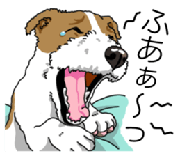 Daily JRT( Jack Russell terrier) sticker #13330688