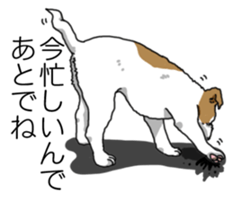 Daily JRT( Jack Russell terrier) sticker #13330689