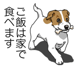 Daily JRT( Jack Russell terrier) sticker #13330691