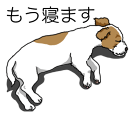 Daily JRT( Jack Russell terrier) sticker #13330692