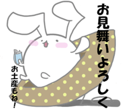 usapomu sister sticker #13333037