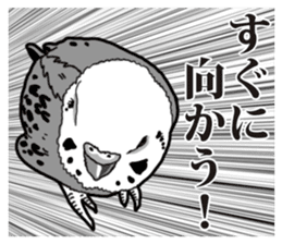 Comic style budgerigars sticker #13333072