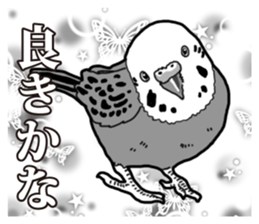 Comic style budgerigars sticker #13333073