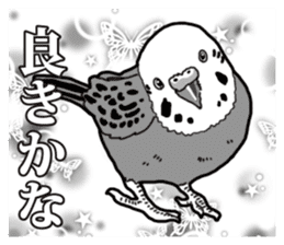 Comic style budgerigars sticker #13333073