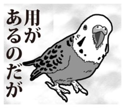 Comic style budgerigars sticker #13333076