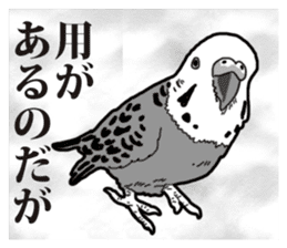 Comic style budgerigars sticker #13333076